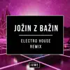Juwe - Jožin z Bažin (Electro House Remix) - Single